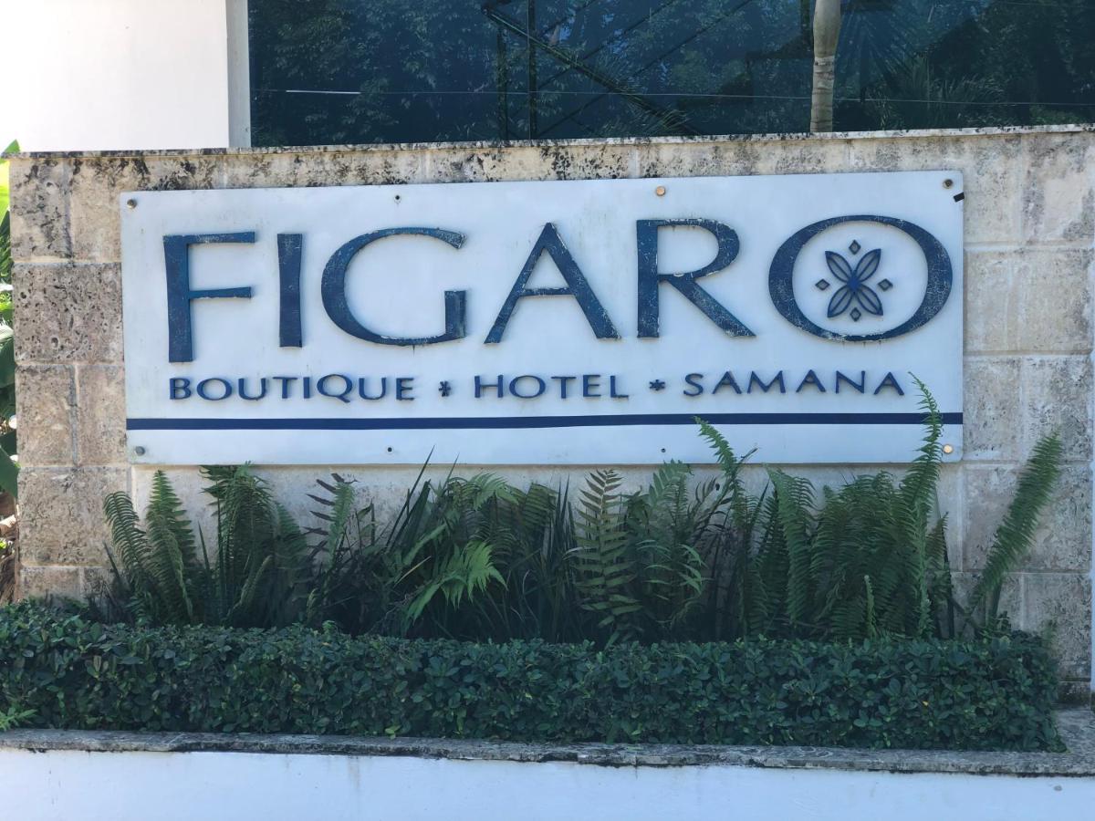 Figaro Hotel Samana Eksteriør bilde